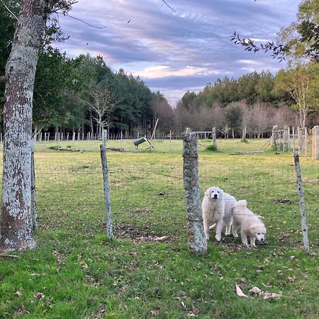 Quebrada de los Cuervos Pinos De La Quebrada 빌라 외부 사진