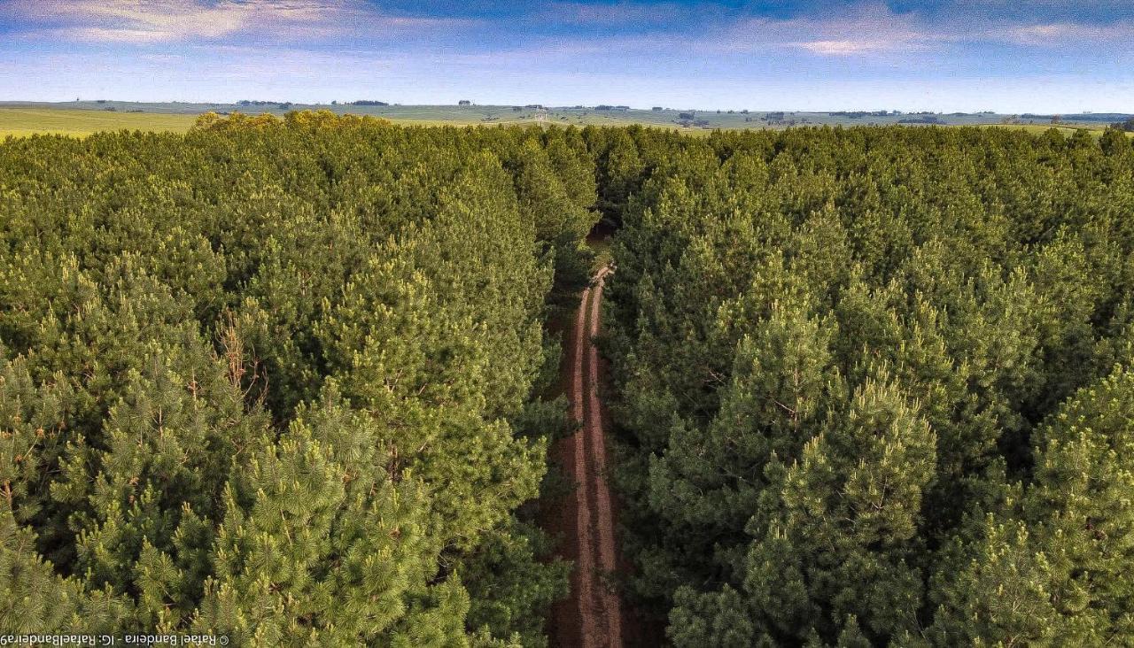 Quebrada de los Cuervos Pinos De La Quebrada 빌라 외부 사진