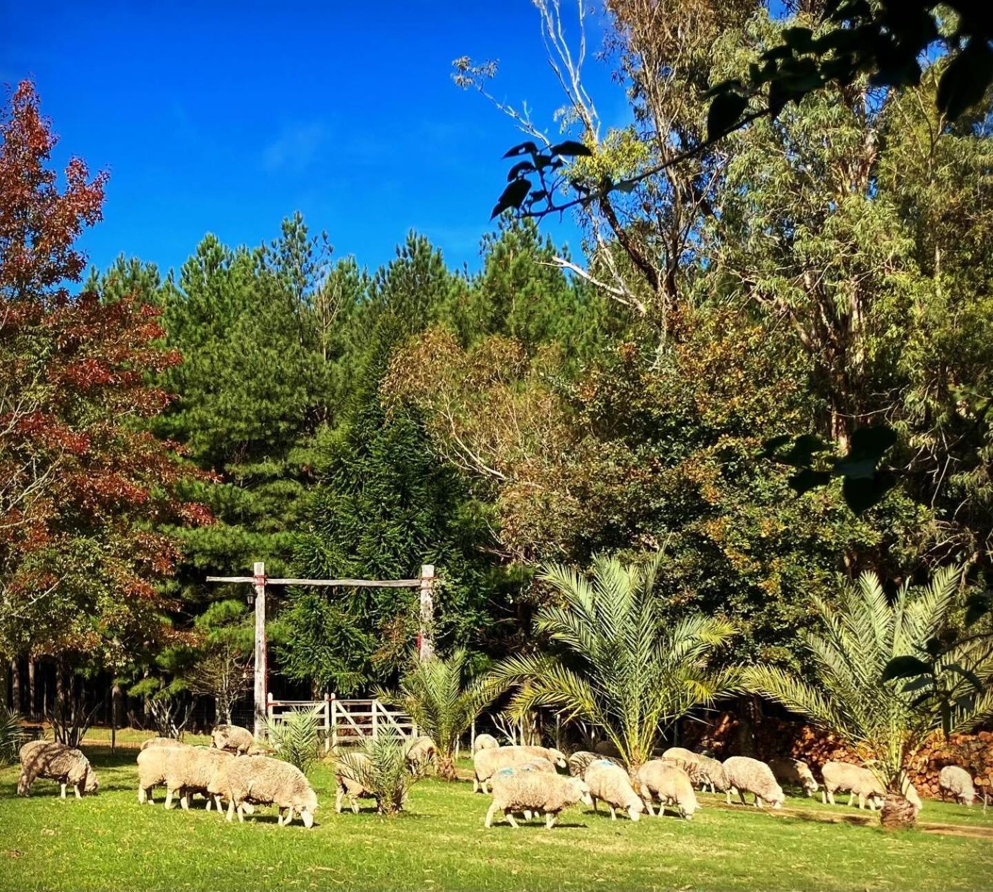 Quebrada de los Cuervos Pinos De La Quebrada 빌라 외부 사진