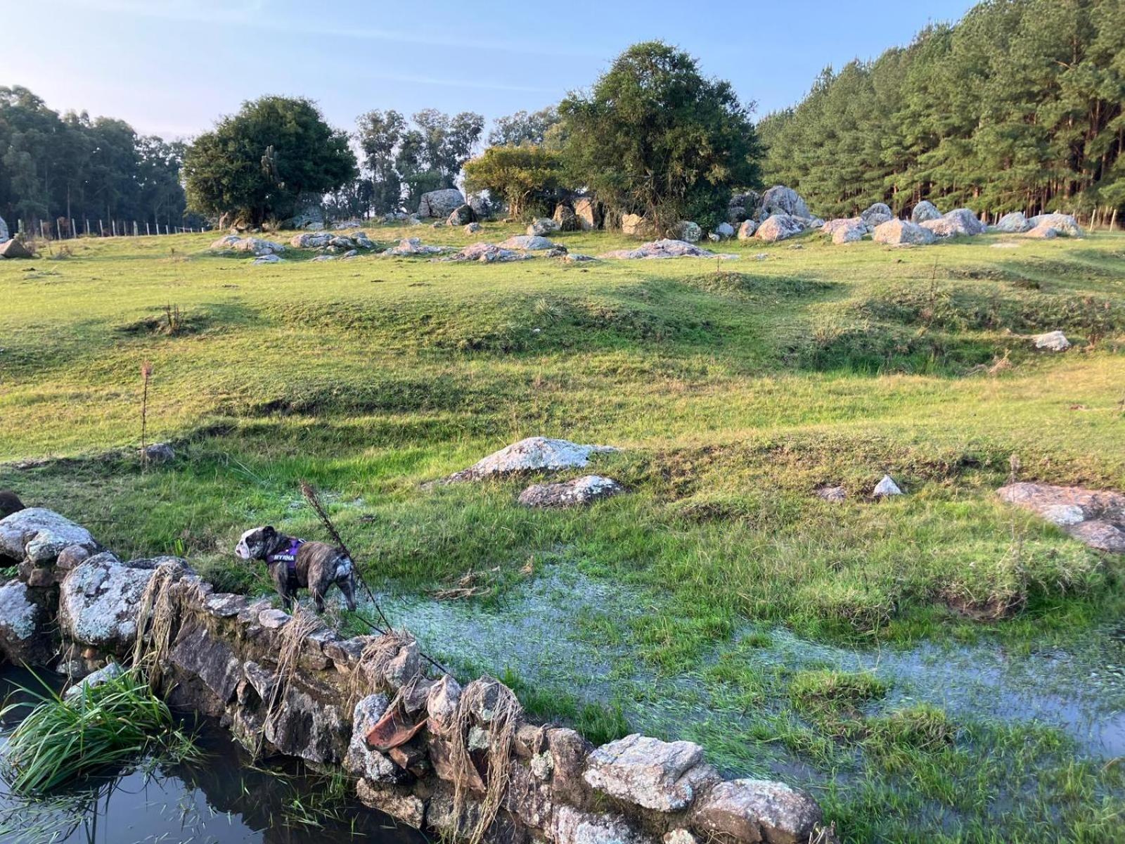 Quebrada de los Cuervos Pinos De La Quebrada 빌라 외부 사진