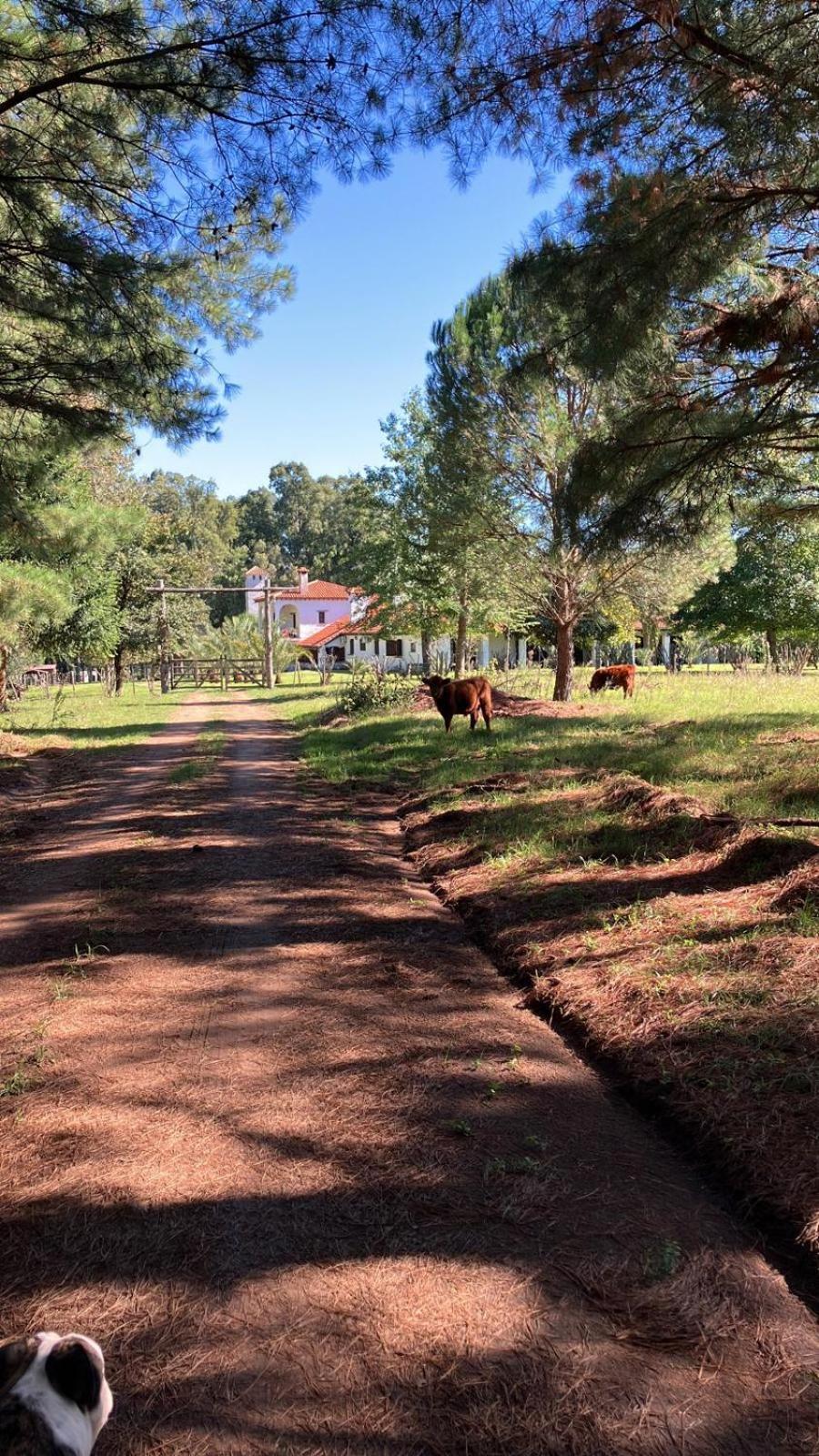 Quebrada de los Cuervos Pinos De La Quebrada 빌라 외부 사진