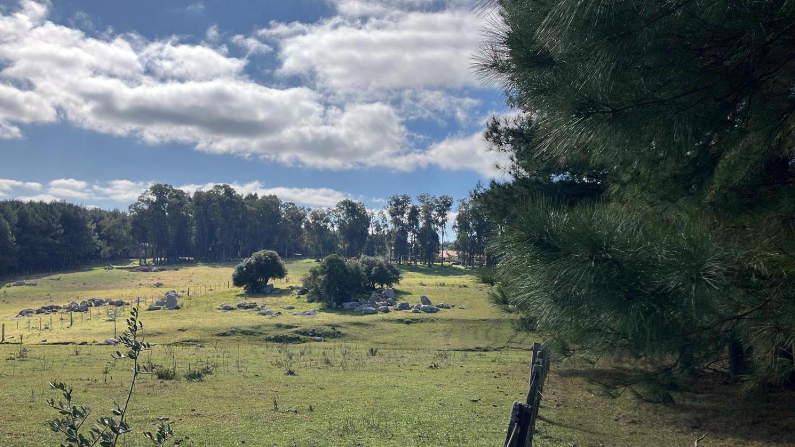 Quebrada de los Cuervos Pinos De La Quebrada 빌라 외부 사진