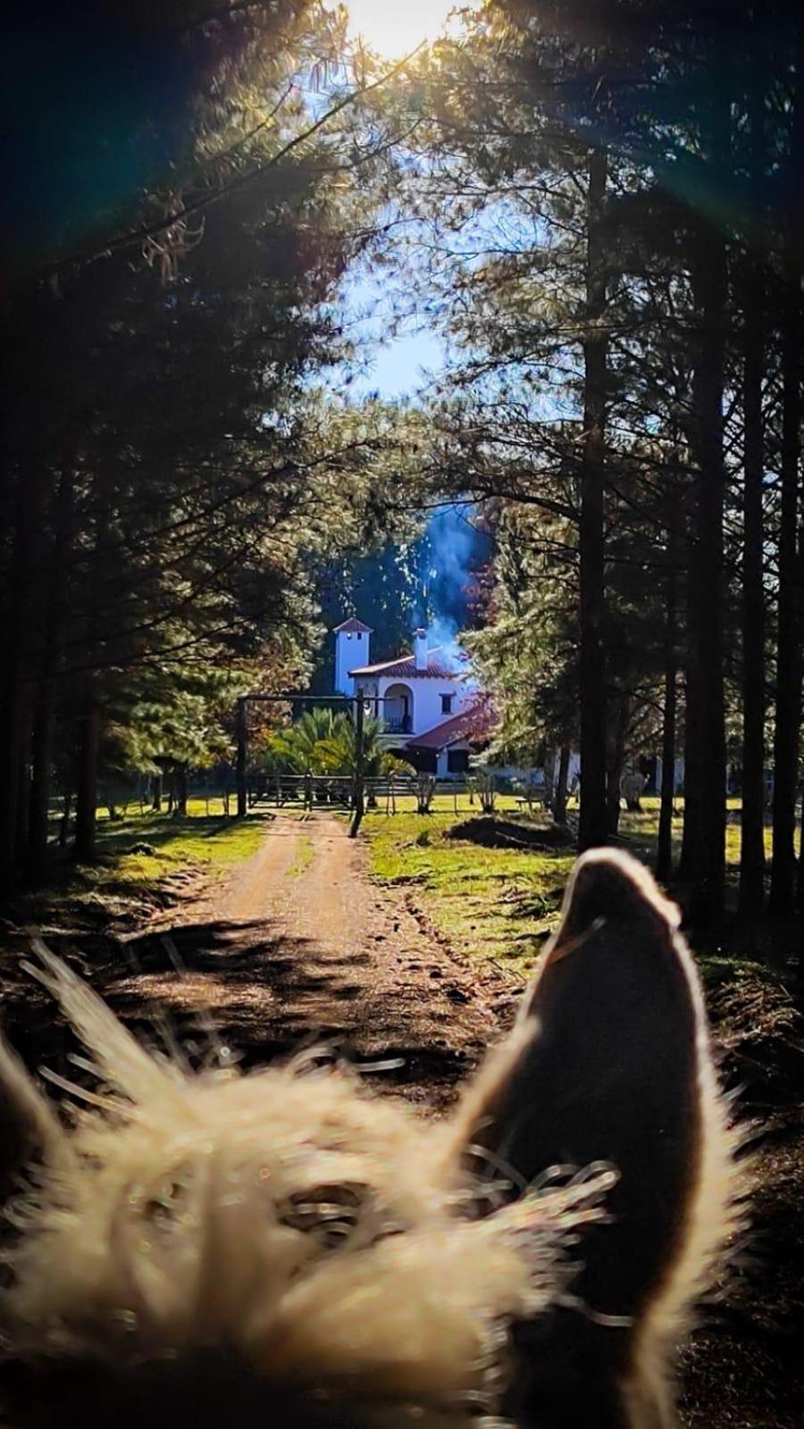 Quebrada de los Cuervos Pinos De La Quebrada 빌라 외부 사진