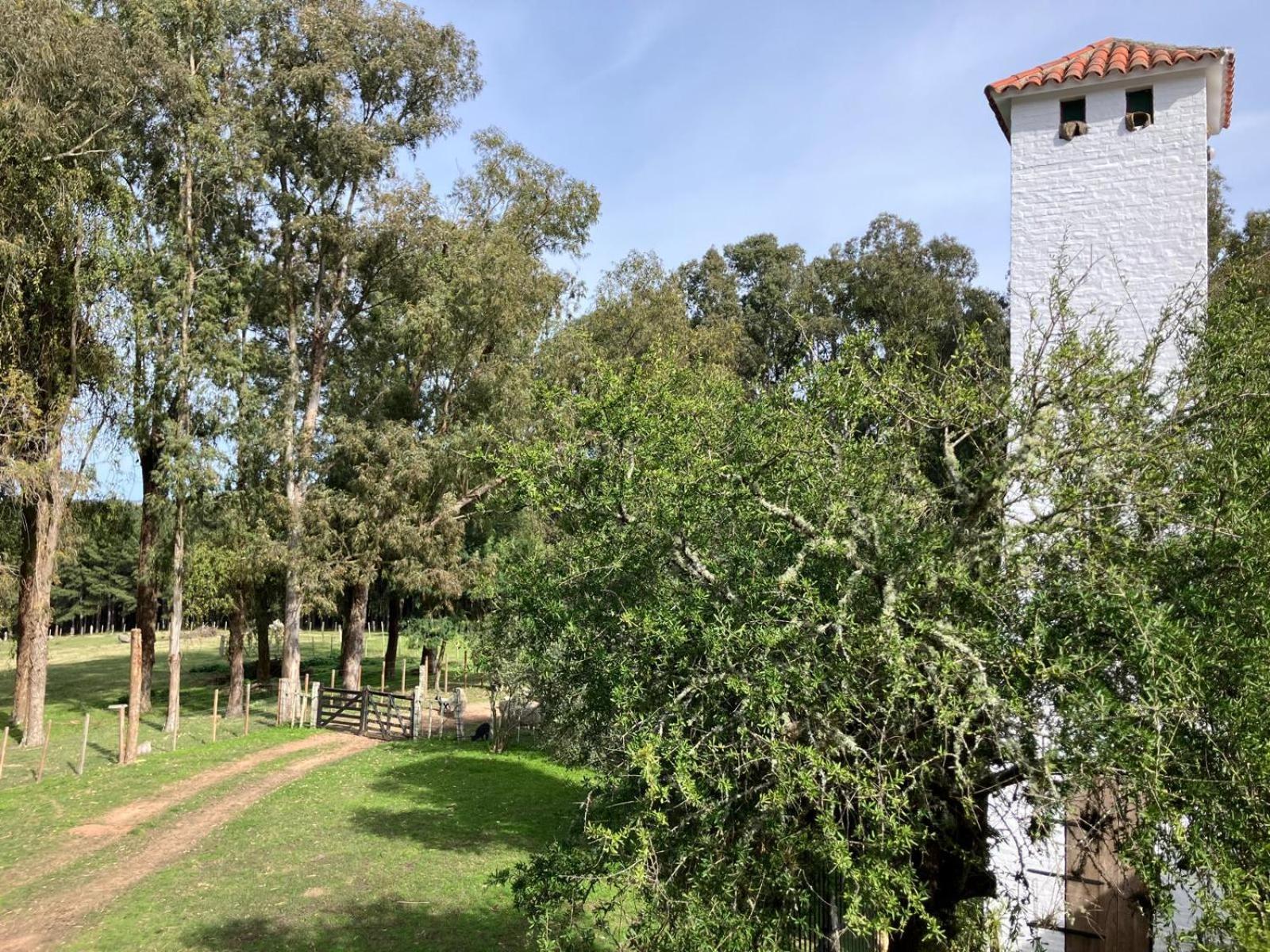 Quebrada de los Cuervos Pinos De La Quebrada 빌라 외부 사진